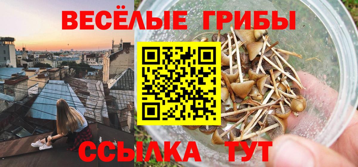 Галлюциногенные грибы прущие грибы Гулькевичи