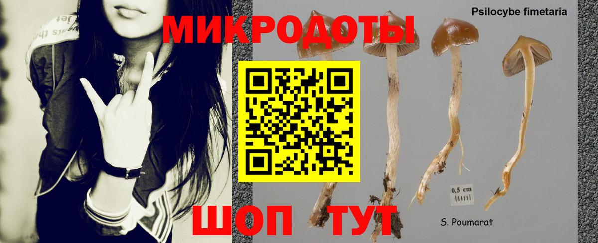 Гулькевичи  Псилоцибиновые грибы прущие грибы  Галлюциногенные грибы Psilocybe  купить наркотики сайты  Вход с VPN 