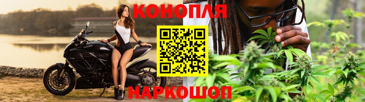 Гулькевичи  Каннабис White Widow  Каннабис OG Kush  Конопля сатива  Вход с VPN 